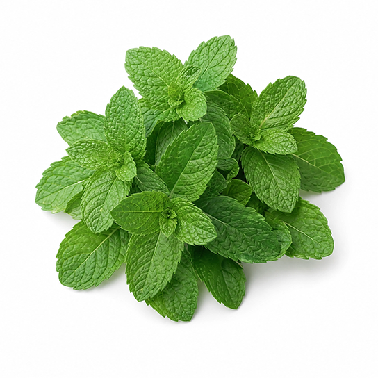 Organic Peppermint Leaf