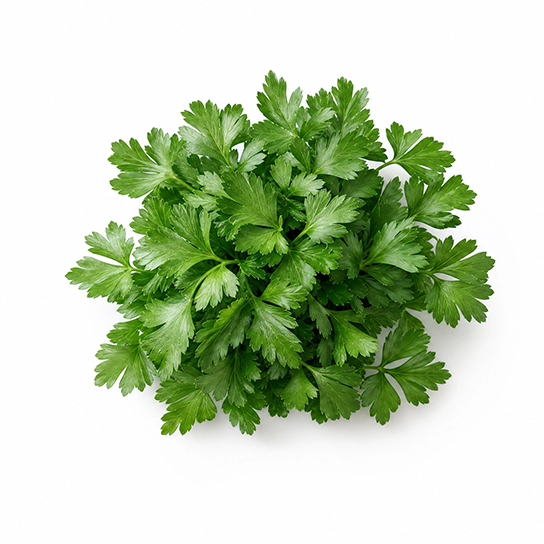 Parsley Leaf